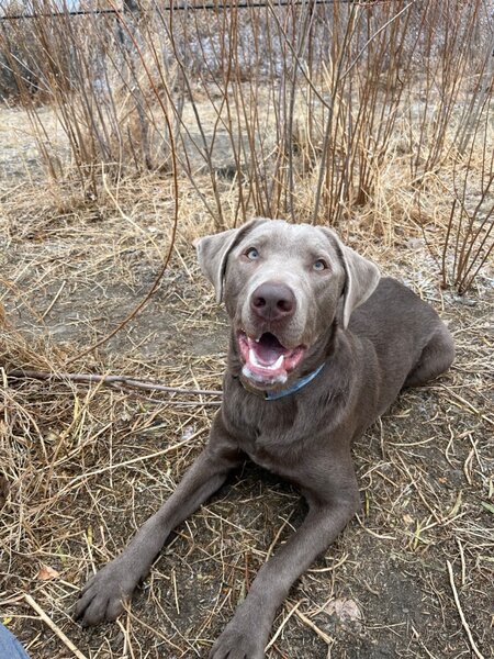 Entry image for Whisky. Clicking this image will show a larger photo