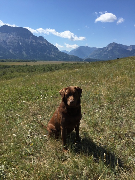 Entry image for Cash. Clicking this image will show a larger photo