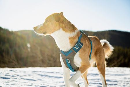 Entry image for Shane. Clicking this image will show a larger photo