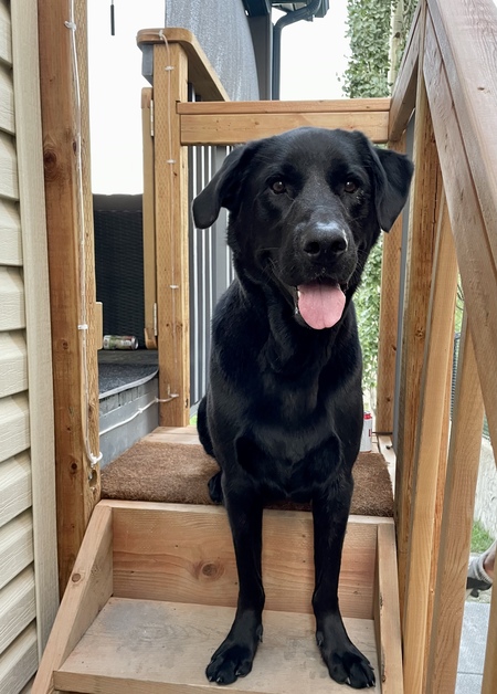 Entry image for Charles Lynn. Clicking this image will show a larger photo