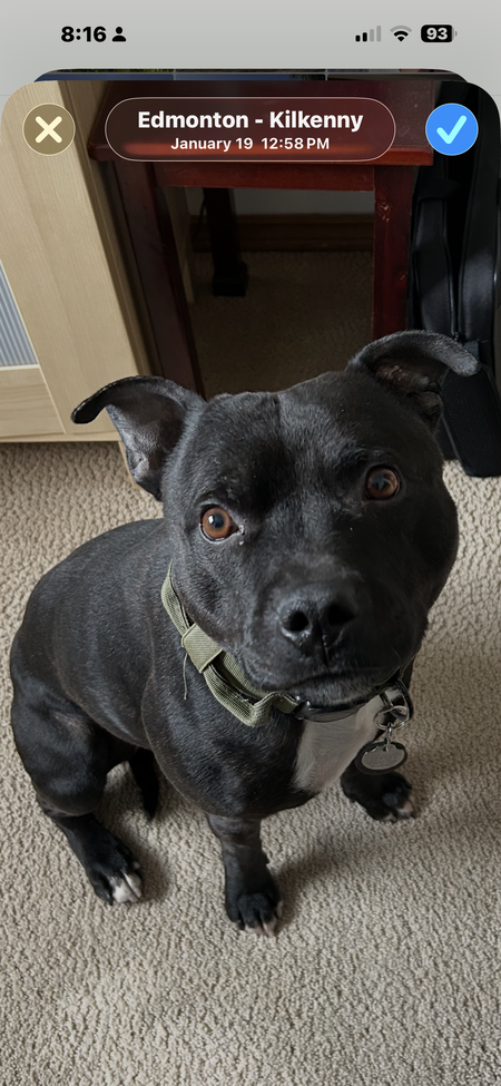 Entry image for Gunnar. Clicking this image will show a larger photo