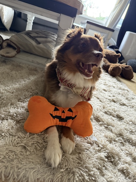 Entry image for Gertrude. Clicking this image will show a larger photo