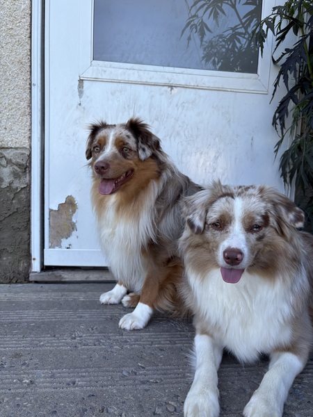 Entry image for Slim and Nash. Clicking this image will show a larger photo