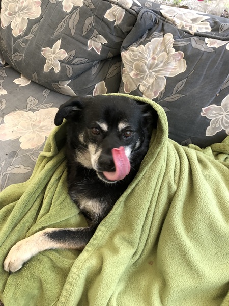 Entry image for Marge . Clicking this image will show a larger photo