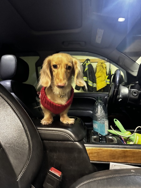 Entry image for Honey . Clicking this image will show a larger photo