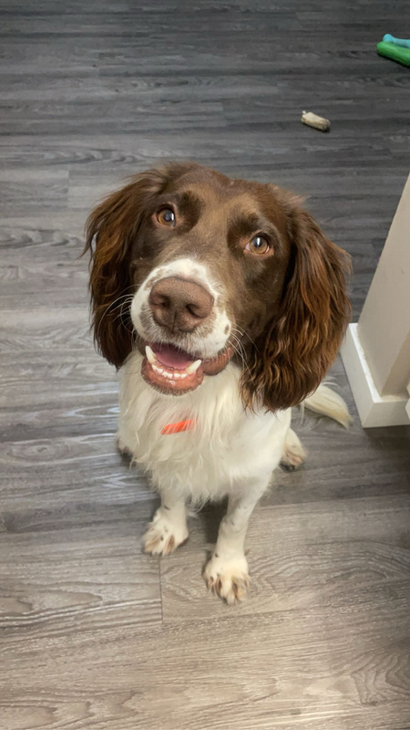 Entry image for Chunk. Clicking this image will show a larger photo