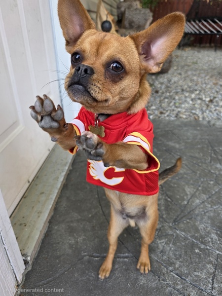 Entry image for Nacho Man Randy Cabbage. Clicking this image will show a larger photo