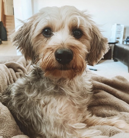 Entry image for George. Clicking this image will show a larger photo