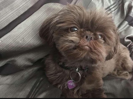 Entry image for Ellie. Clicking this image will show a larger photo