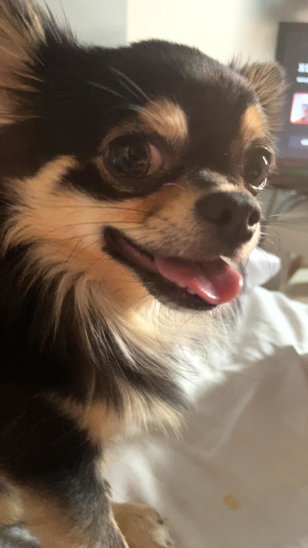 Entry image for Ogli. Clicking this image will show a larger photo