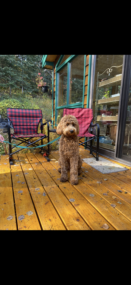 Entry image for Robson. Clicking this image will show a larger photo