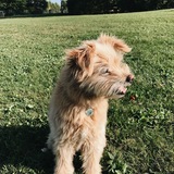 Entry image for Casey