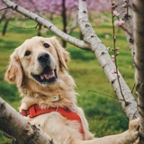 Entry image for Arthur 