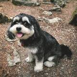 Entry image for Quinny