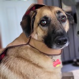 Entry image for Winston