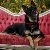 Entry image for Maggie-Mae