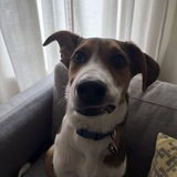 Entry image for Jett