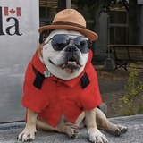 Entry image for ABBEY