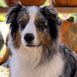 Entry image for Winnie