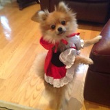 Entry image for Diva