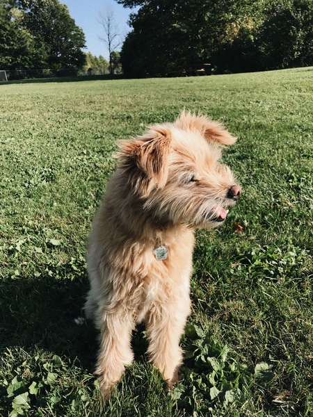 Entry image for Casey. Clicking this image will show a larger photo