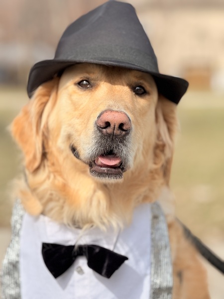 Entry image for Tom. Clicking this image will show a larger photo