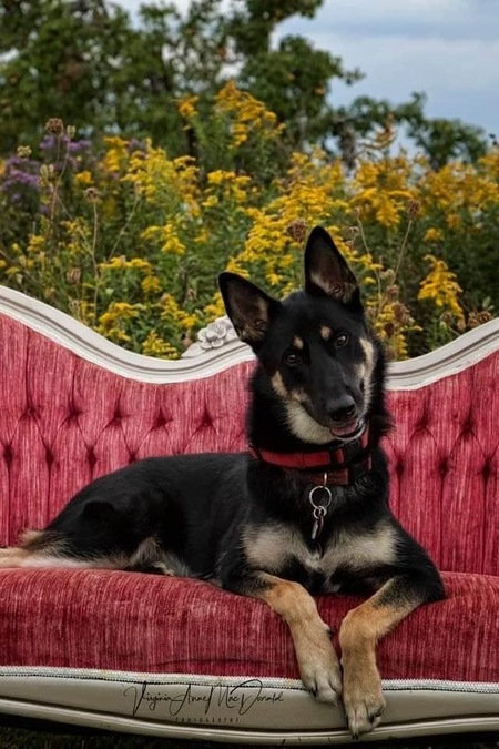 Entry image for Maggie-Mae. Clicking this image will show a larger photo