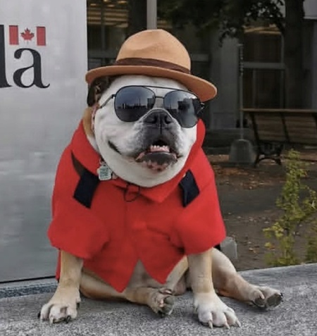 Entry image for ABBEY. Clicking this image will show a larger photo