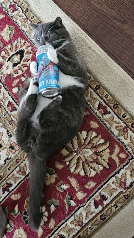 Entry image for Randy. Clicking this image will show a larger photo