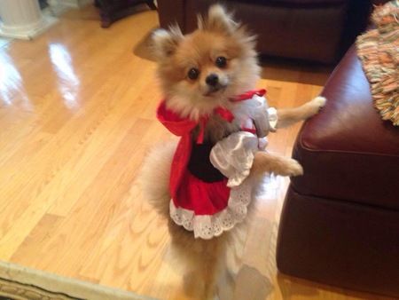 Entry image for Diva. Clicking this image will show a larger photo