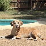 Entry image for Jessie