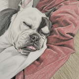 Entry image for Chato