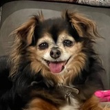 Entry image for AnnaBelle 