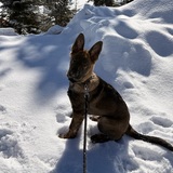 Entry image for Spirit