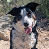 Entry image for Blue