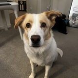 Entry image for Blanca