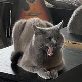 Entry image for Parsely