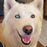 Entry image for Jesse