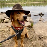 Entry image for Reggie