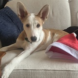 Entry image for Larry