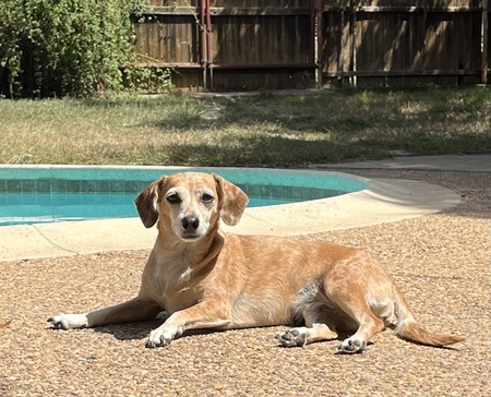 Entry image for Jessie. Clicking this image will show a larger photo