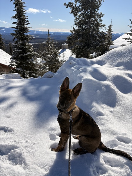 Entry image for Spirit. Clicking this image will show a larger photo