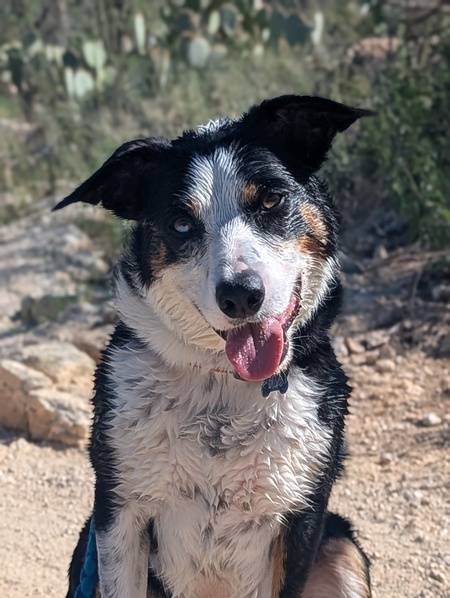 Entry image for Blue. Clicking this image will show a larger photo