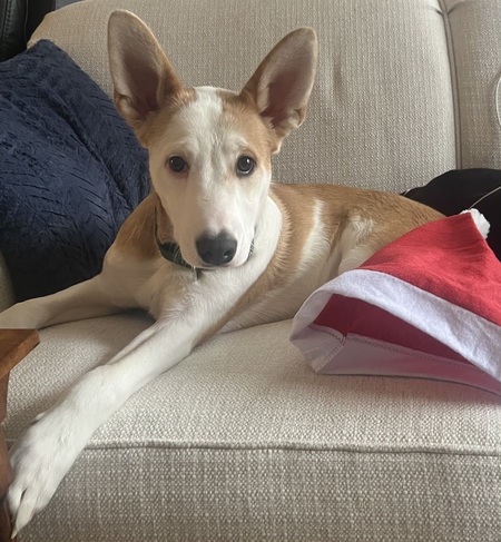 Entry image for Larry. Clicking this image will show a larger photo