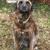 Entry image for Sully