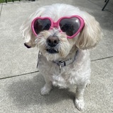 Entry image for Finnie