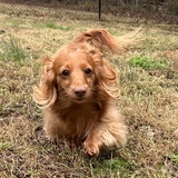 Entry image for Tucker