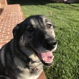 Entry image for Sierra