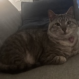 Entry image for Ruby