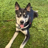 Entry image for Skye